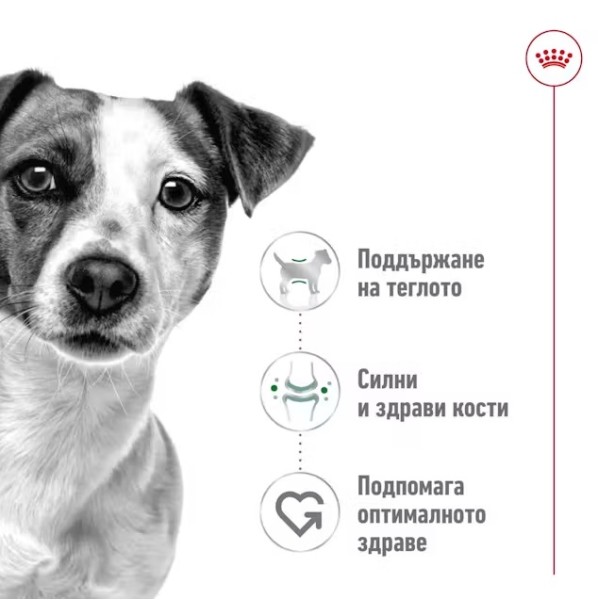 Royal Canin Mini Adult Dog Loaf Can - Консерва за кучета от дребни породи в зряла възраст 195гр